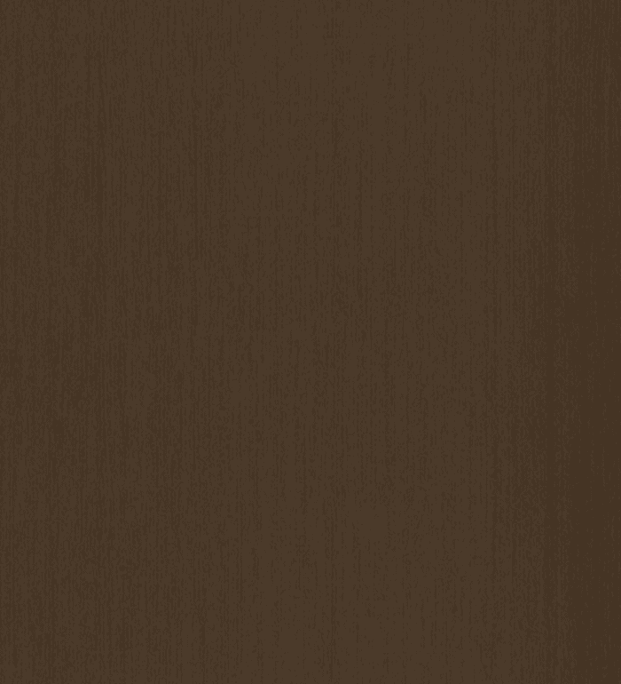 Design 10078 Sandy Fossil Recon
