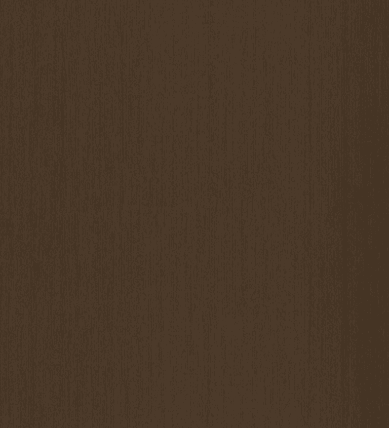 Design 10078 Sandy Fossil Recon