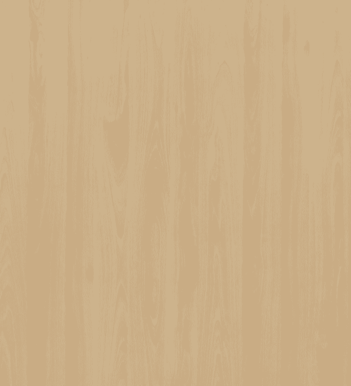 Mangfall Beech